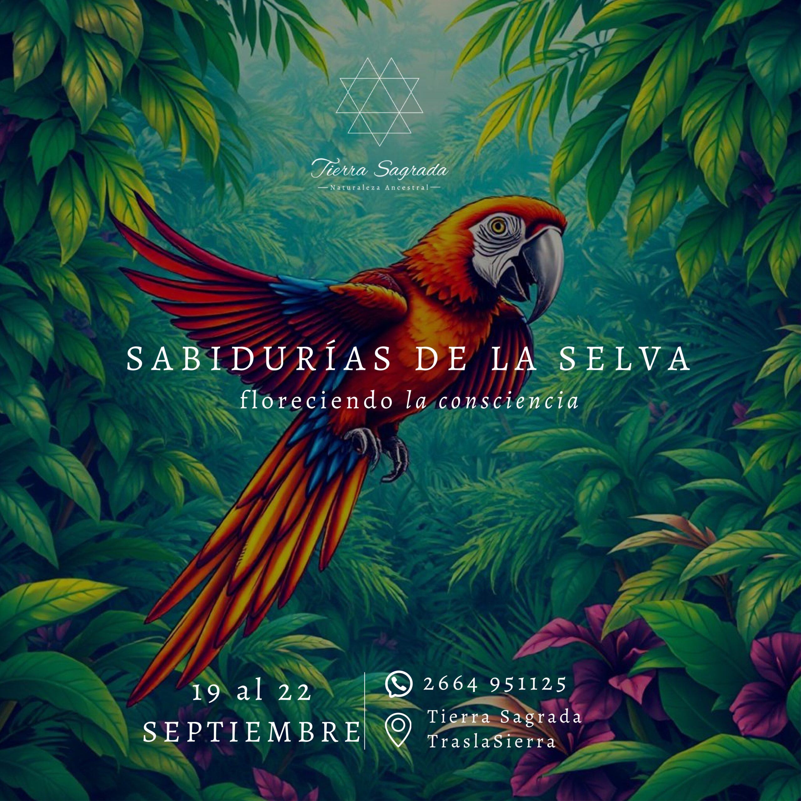 SabiduriasSelva (1024 x 1024 mm)_page-0001