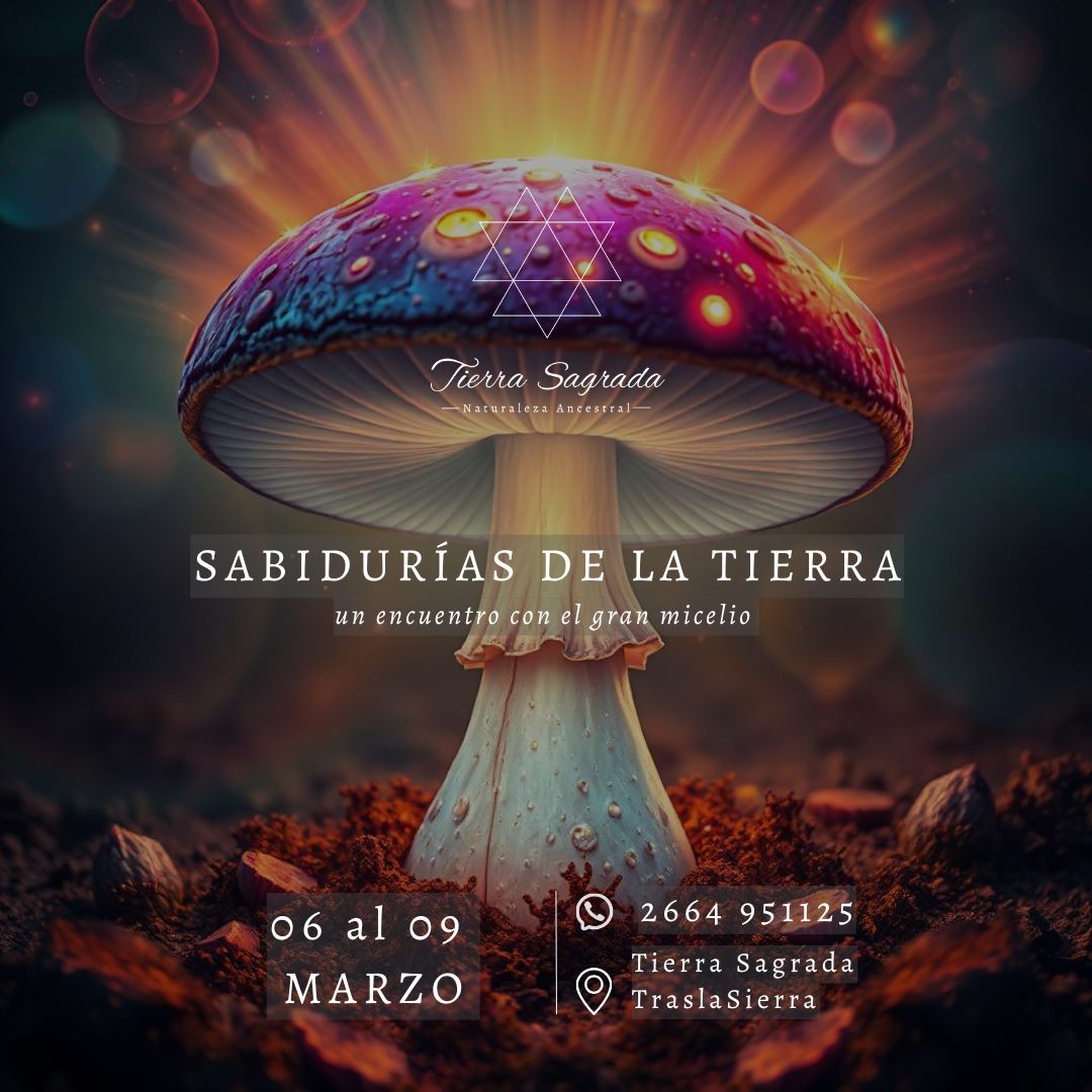 WhatsApp Image 2026-01-27 at 13.02.28 (1)