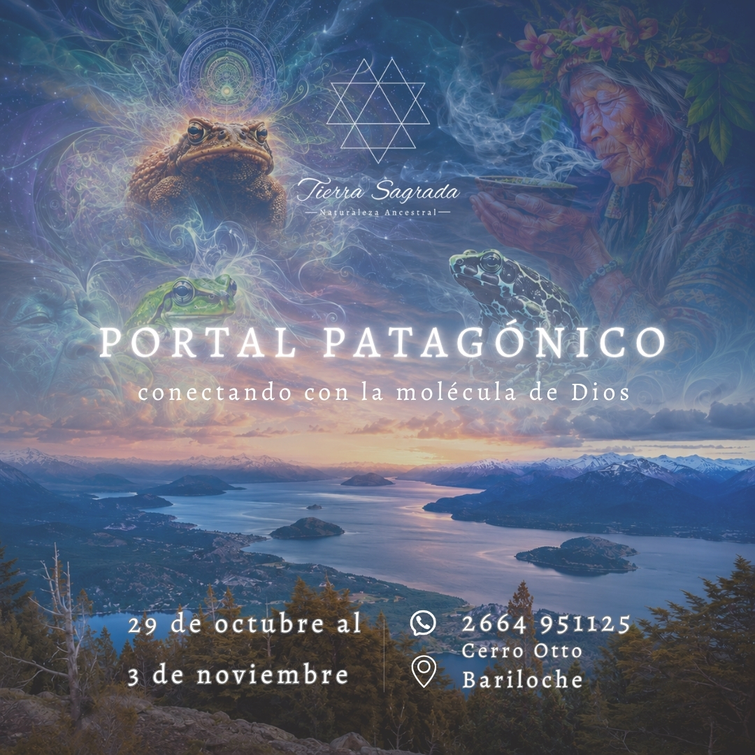 PORTAL PATAGONICO .jpg